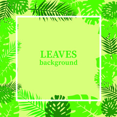 Frame and background of tropical leaves on green, vector illustration