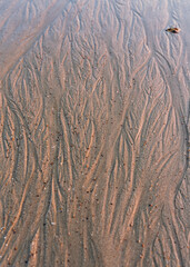 Texture of wet sand, sandy beach