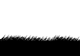 grass graphics design vector illustration for wallpaper background