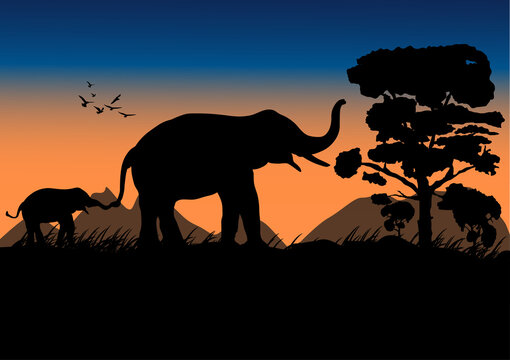 silhouette image Black elephant walking at the forest with mountain and sunset background Evening light vector Illustration