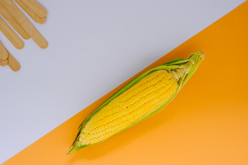 Fresh yellow corn from the fields is placed on the kitchen floor.
