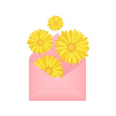 flying, falling or flat lay yellow blooming calendula flower buds and pink paper envelope, stock vector illustration design element isolated on white background