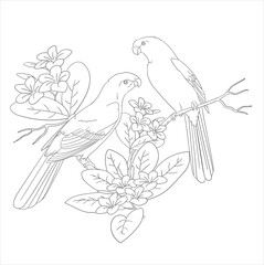 Print coloring page two birds