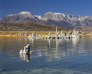 Calcium carbonate tufas, Mono Lake, California, USA, North America
