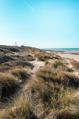 La dune de la plage de cabourg