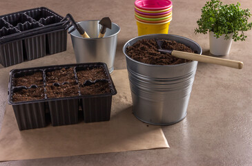 Seedling container filled with earth, small shovels and a rake for plant care, colorful plastic pots.  Gardening, the spring planting at home.