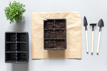 Seedling container filled with earth, small shovels and a rake for plant care. Gardening, the spring planting at home.