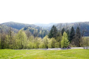 Fototapeta na wymiar Early spring in the park. Plitvice Lakes National Park, Croatia