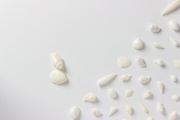 Different white sea shells  on a white  background. Travel concept. Flat lay, top view. Copy space for text.