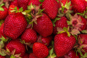 Fresh organic strawberries close-up. Red ripe berries, fresh juicy strawberries. Healthy or diet food concept..