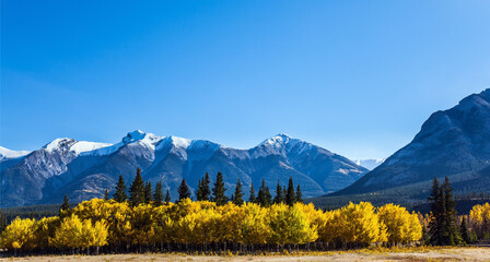 Great Canadian Rockies.