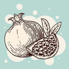 Appetizing pomegranate with leaves and cut off a slice. Delicious fruit. Hand drawn sketch. Vintage style. Vector illustration isolated on color background.