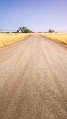 Fototapeta na wymiar Desert gravel road with vanishing point displaying the way forward. 9:16 smartphone format or vertical banner.