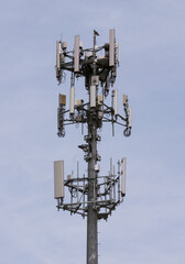 Red Hawk on Cell Tower