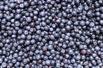Blueberries - dark blue edible berries