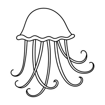 recommend clip art: Jellyfish linear icon. Swimming medusa. Ocean wildlife. Marine aquarium. Toxic jelly fish with tentacles. Thin line illustration. Contour symbol. Vector isolated outline drawing. Editable stroke