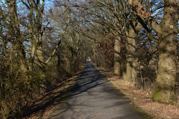 Obraz premium Zollenspieker_110 