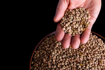 Green raw lentils in hand. Seeding lentils. Man's hand took grains of lentills. Grains of lentils on black background.