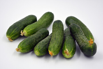 Fresh delicious ripe natural green cucumbers growing on a Ukrainian garden, vegetable garden, field. 