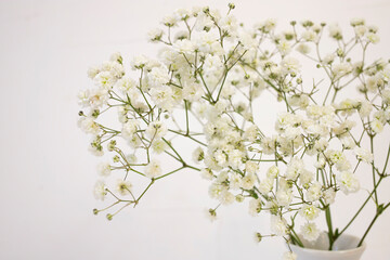 Branch of fresh delicate white flowers close-up on a white background. Flat lay, top view, copy space.
