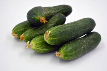 Fresh delicious ripe natural green cucumbers growing on a Ukrainian garden, vegetable garden, field. 