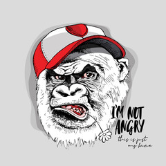 Funny Gorilla in a cap with flower. I'm not angry, this is just my face - lettering quote. Humor card, t-shirt composition, hand drawn style print. Vector illustration.
