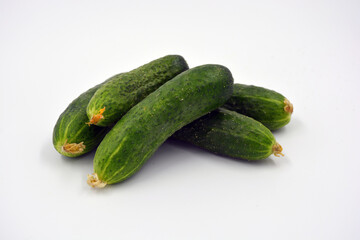 Fresh delicious ripe natural green cucumbers growing on a Ukrainian garden, vegetable garden, field. 