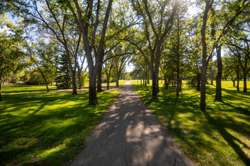 Beautiful park during the day