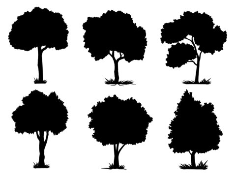 collection black tree Symbol style and white background. Can be used for your work.