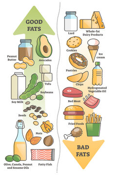 Good fats vs bad food for healthy diet and nutritious meal outline diagram