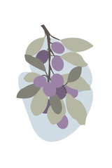 Colorful Plum branch. Vector cartoon flat illustration