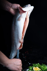 Cutting up large salmon with a sharp knife. Dark background.