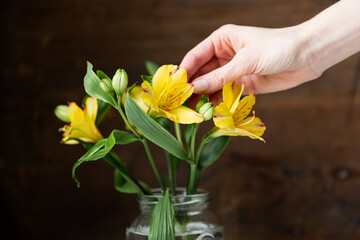 Hand an gelben Frühlingsblumen vor braunem Hintergrund - Blüten - Floristik, Floristin, Blumen