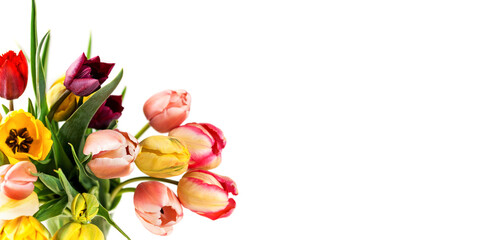 Obraz na płótnie Canvas Bouquet of color tulips on a white background. Copy space. Banner