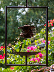sculpture in the garden