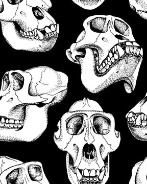 Seamless pattern with image of a Skull Monkey on a black background. Vector illustration.