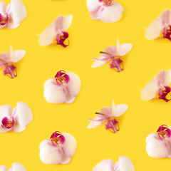 Nature pattern made with fresh rose orchids on bright yellow background. Minimal spring bloom, tropical or holiday layout. Flat lay, top view.