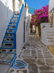 Traditional Cycladitic alley with a narrow street, whitewashed houses and a blooming bougainvillea...