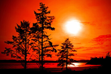 Obraz premium Sunset Long Beach Tofino Vancouver Island Canada