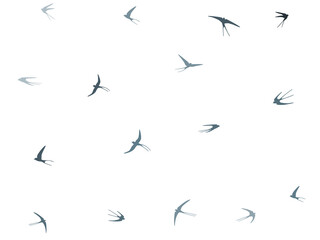 Flying swallow birds silhouettes vector illustration. Migratory martlets school isolated on white.