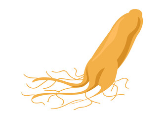 Fototapeta premium ginseng isolated on white, ginseng root, clip art ginseng