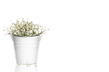 White flowers in a ceramic bucket. Postcard. White background. Isolate. Place for your text.
