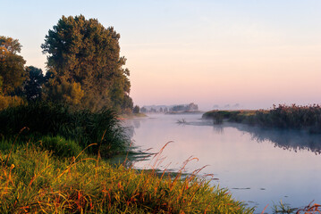 Piękny poranek z mgłami w Dolinie Narwi,Podlasie, Polska © podlaski49