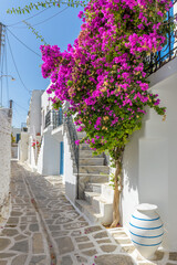 Fototapeta na wymiar Traditional Cycladitic alley with a narrow street, whitewashed houses and a blooming bougainvillea in Parikia, Paros island, Greece. 