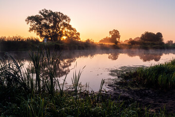 Piękny poranek z mgłami w Dolinie Narwi,Podlasie, Polska © podlaski49