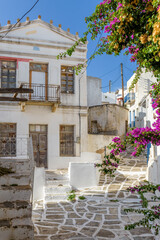 Fototapeta na wymiar Picturesque alley in lefkes Paros greek island with a full blooming bougainvillea !! Whitewashed traditional houses and flowers all over !!!