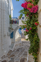 Fototapeta na wymiar Picturesque alley in lefkes Paros greek island with a full blooming bougainvillea !! Whitewashed traditional houses and flowers all over !!!