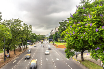 Fototapeta na wymiar Downtown Buenos Aires skyline seen from Libertador Avenue with the famous jacarandás trees alongside.