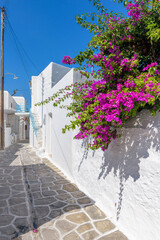Traditional Cycladitic alley with a narrow street, whitewashed houses and a blooming bougainvillea in Parikia, Paros island, Greece.