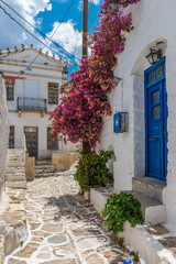 Picturesque alley in lefkes Paros greek island with a full blooming bougainvillea !! Whitewashed traditional houses   and flowers all over !!!